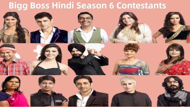 Bigg Boss Season 6 Hindi Contestants 